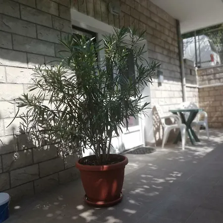Vinko * سبليت